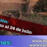carrera-820×300
