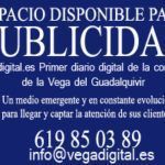 edd-promo-publi