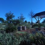 Parque de invierno 1