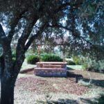 Parque de invierno 2