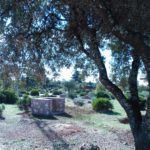 Parque de invierno 3