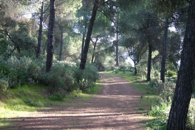 La sierrezuela