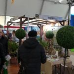 posadas feria municpios 2