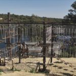 Imagen5