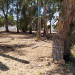 IMG-20190724-WA0030