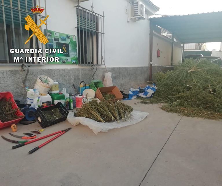 MARIHUANA PALMA DEL RÍO