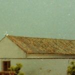 IMG-20210312-WA0087