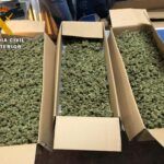 MARIHUANA EDOA 2