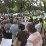 Imagen7