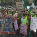 Imagen9