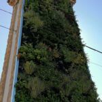 JARDIN VERTICAL HORNACHUELOS