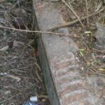 IMG-20210610-WA0009