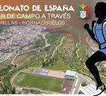 descarga