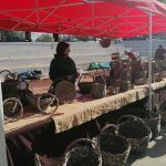 IMG_20221120_124241
