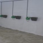 zona ganadera 3