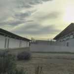 zona ganadera 7