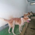 IMG_20240430_192312