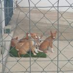 IMG_20240430_192812