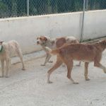 IMG_20240430_193133