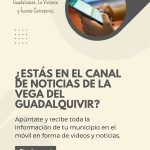 canal-movil-vegadigital