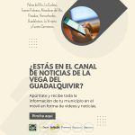canal-movil-vegadigital_