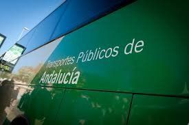 consorcio