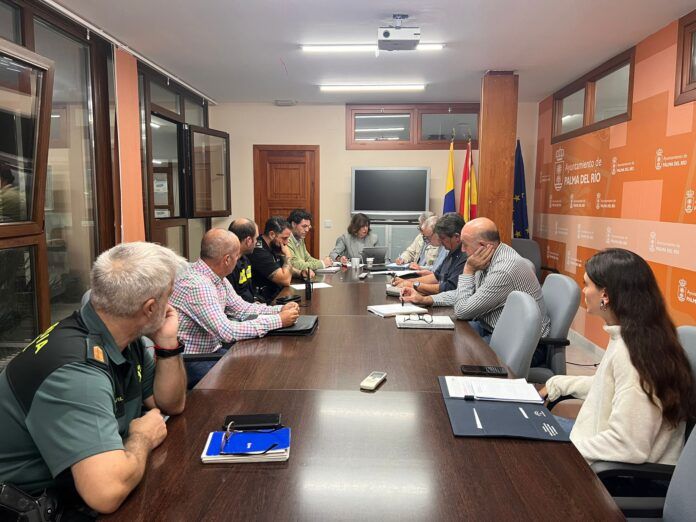 ReunionTemporalPalma