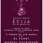 ECIJA 300×600 px copia