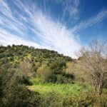 Sendero-del-Águila4